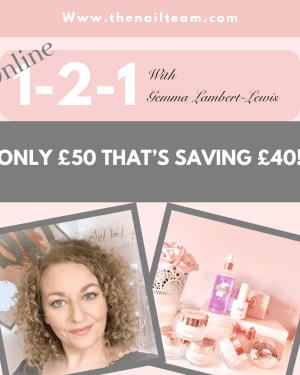 1-2-1 Training online