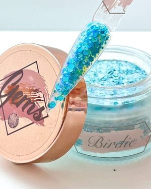 Gems glitter acrylic Birdie