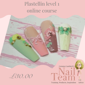 Plastellin Level 1 online course