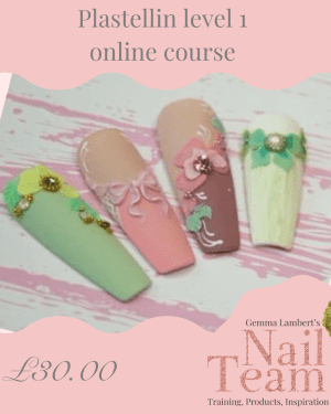 Plastellin Level 1 online course