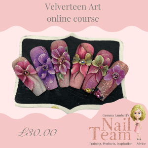 Velverteen Art online course