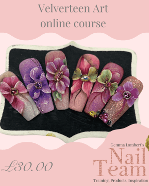 Velverteen Art online course