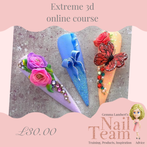 Extreme 3D online course