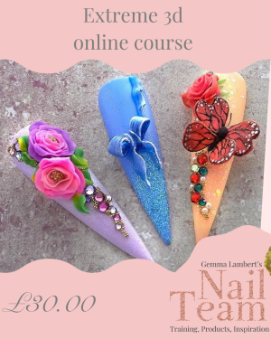 Extreme 3D online course