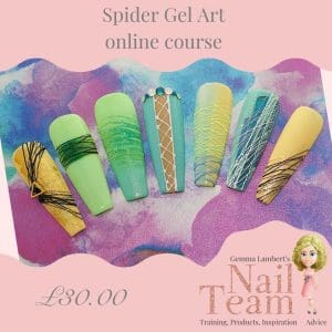 Spider Gel Art online course