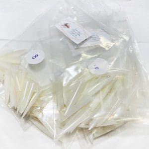 Gems Long natural stiletto refill tips