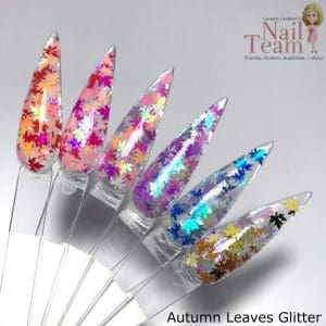 Autumn leaves collection