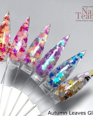 Autumn leaves collection