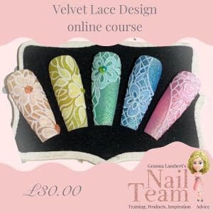 Velvet Lace online course