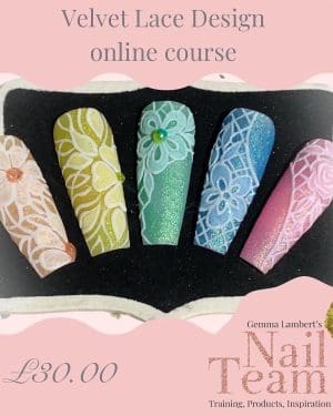 Velvet Lace online course