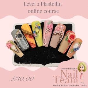 Plastellin Level 2 online course