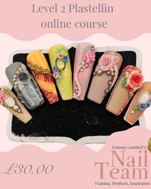 Plastellin Level 2 online course