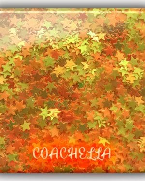 Festival glitter Coachella