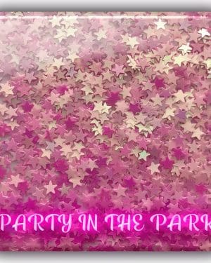 Festival glitter Party in the park